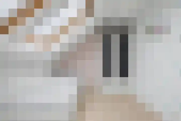 Binnensingel 57 Strijen thumbnail 31