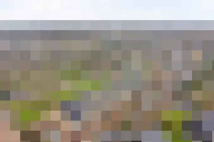 Binnensingel 57 Strijen thumbnail 42