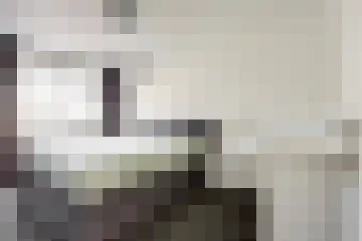 Binnensingel 58 Strijen thumbnail 12