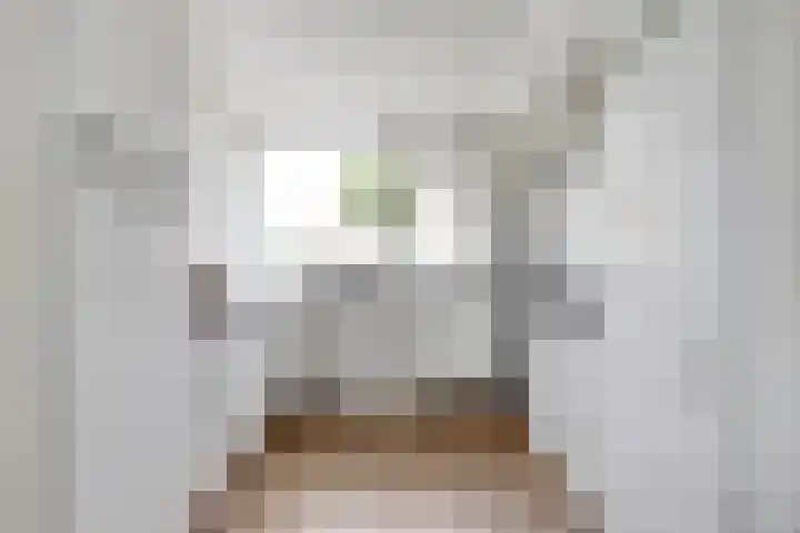 Binnensingel 58 Strijen foto 2