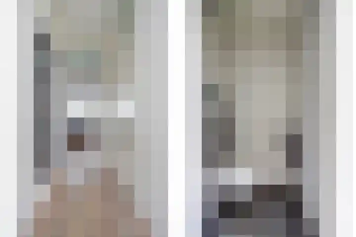 Binnensingel 58 Strijen thumbnail 7