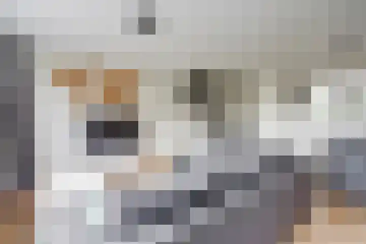 Binnensingel 58 Strijen thumbnail 8