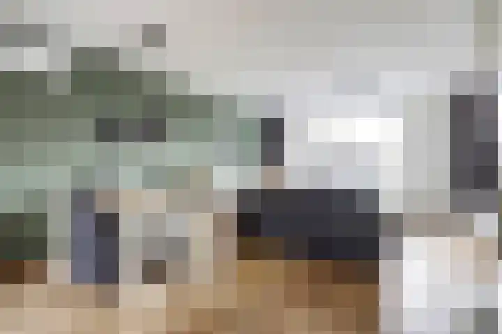 Binnensingel 58 Strijen thumbnail 9