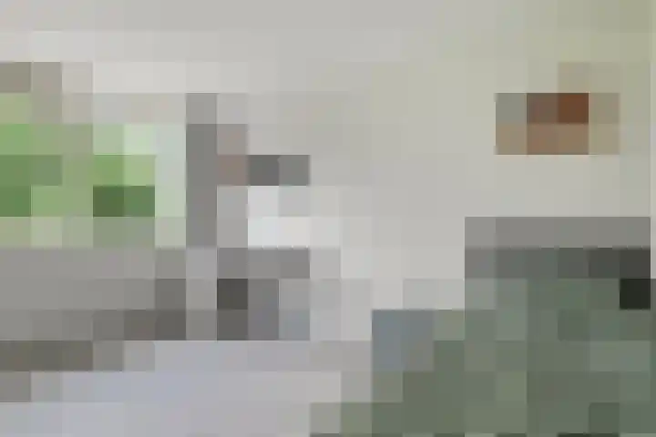 Binnensingel 73 Strijen thumbnail 17