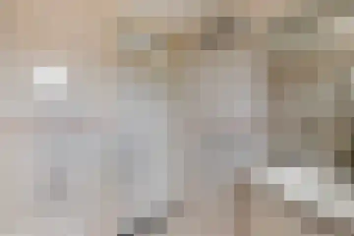 Binnensingel 73 Strijen thumbnail 21