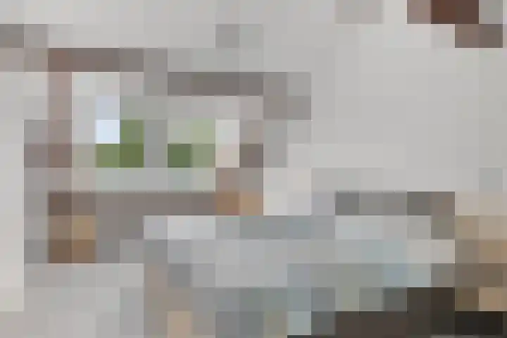 Binnensingel 73 Strijen thumbnail 26