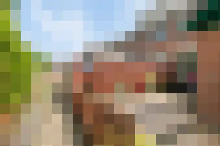 Binnensingel 73 Strijen thumbnail 28