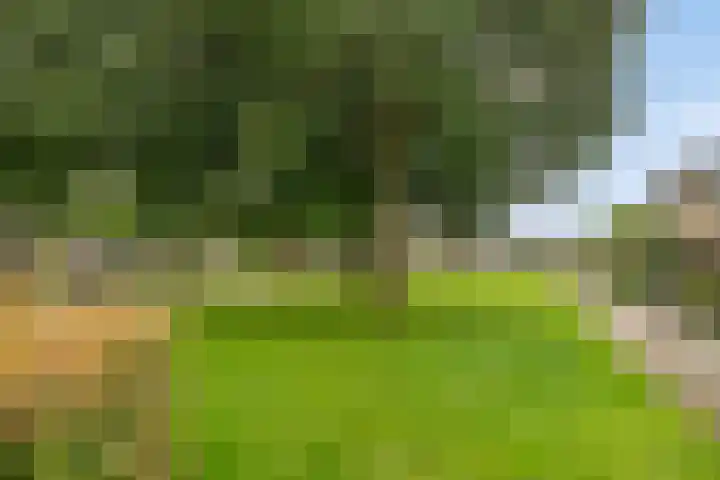 Binnensingel 73 Strijen thumbnail 32