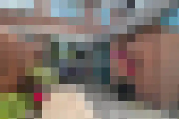 Binnensingel 73 Strijen thumbnail 4