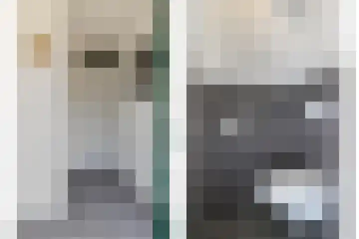 Binnensingel 73 Strijen thumbnail 7