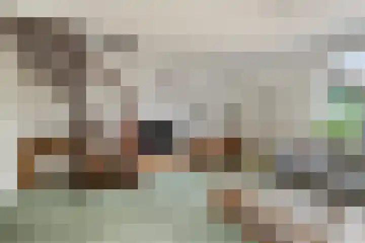 Binnensingel 73 Strijen thumbnail 9
