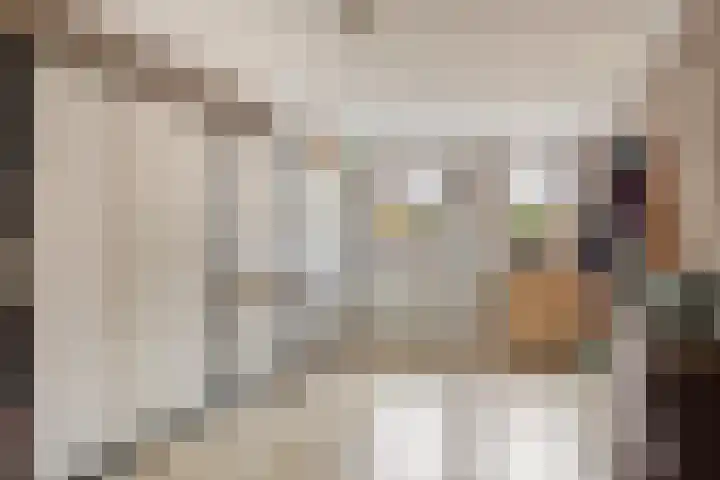 Binnenstraat 29 Herpen thumbnail 13
