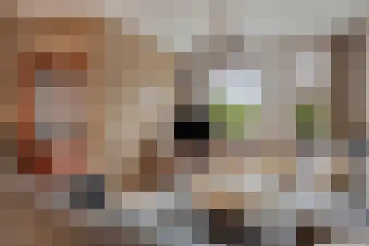 Binnenstraat 29 Herpen thumbnail 6