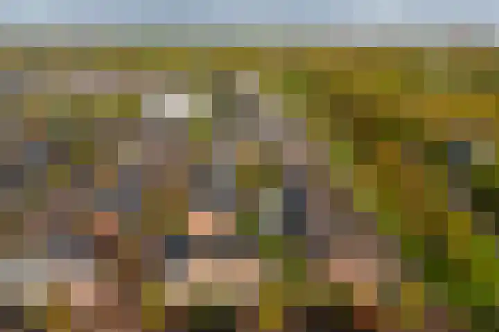 Binnentuinlaan 3 Vleuten thumbnail 27