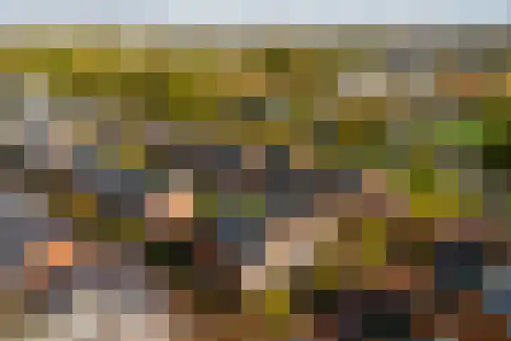 Binnentuinlaan 3 Vleuten thumbnail 31