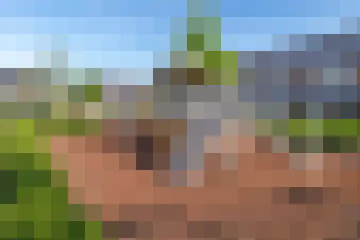 Binnentuinlaan 3 Vleuten thumbnail 33