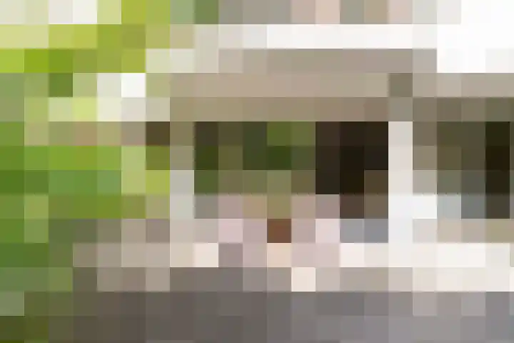 Binnenveld 23 Vorstenbosch thumbnail 24