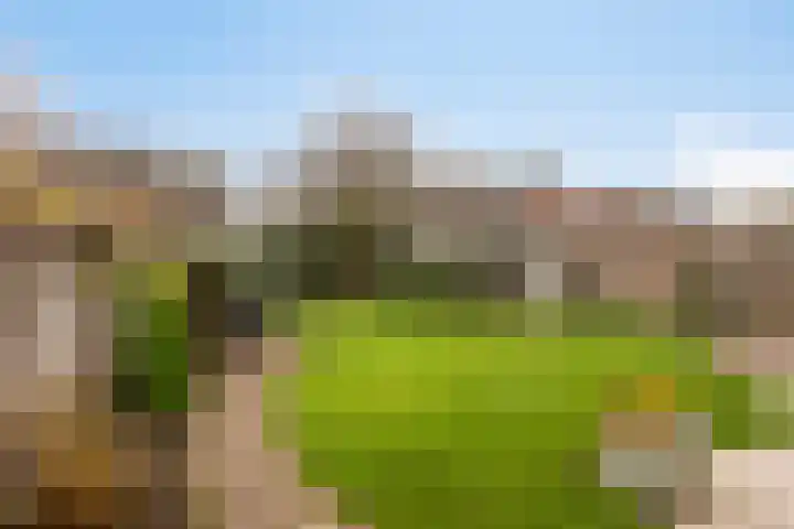 Binnenveld 23 Vorstenbosch thumbnail 43