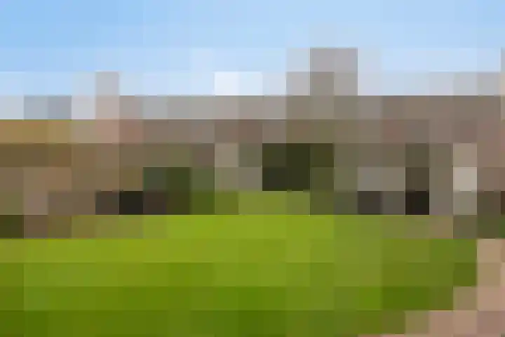 Binnenveld 23 Vorstenbosch thumbnail 44
