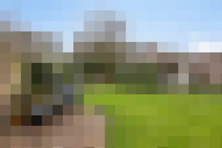 Binnenveld 23 Vorstenbosch thumbnail 45