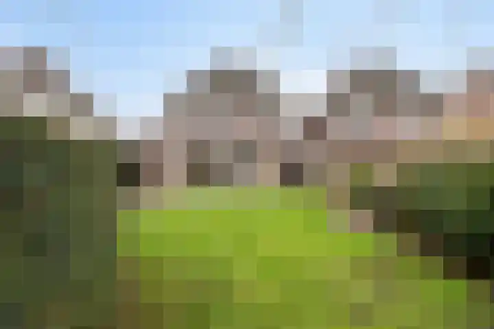 Binnenveld 23 Vorstenbosch thumbnail 47