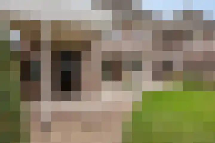 Binnenveld 23 Vorstenbosch thumbnail 49