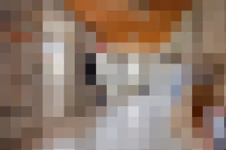 Binnenveld 23 Vorstenbosch thumbnail 54