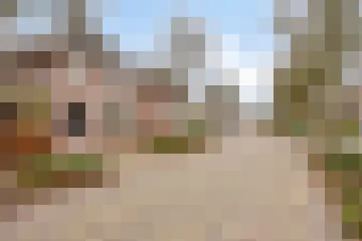 Binnenveld 23 Vorstenbosch thumbnail 58