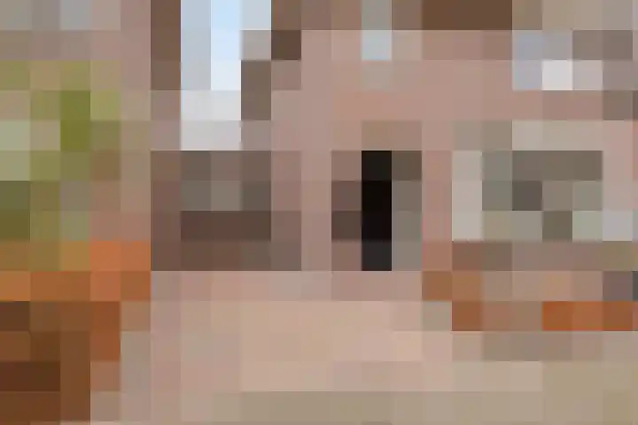 Binnenveld 23 Vorstenbosch thumbnail 7