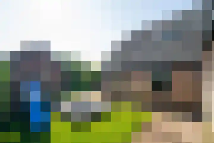 Binnenveldweg 7 Uddel thumbnail 34