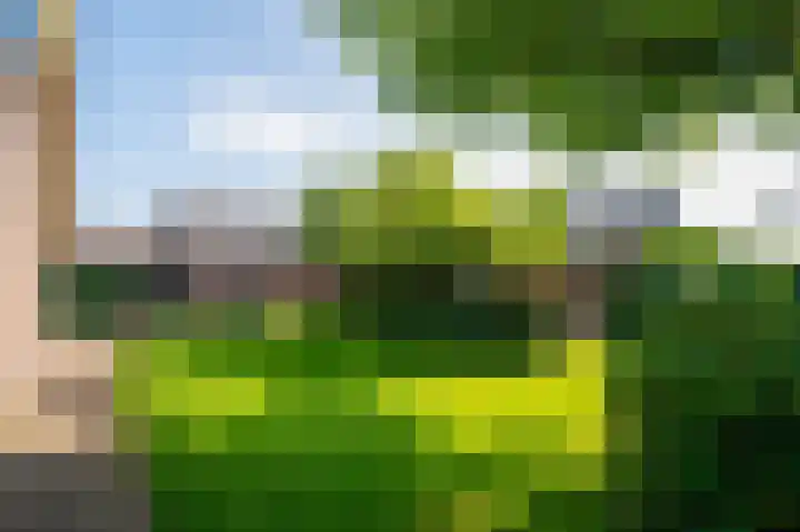 Binnenveldweg 7 Uddel thumbnail 35