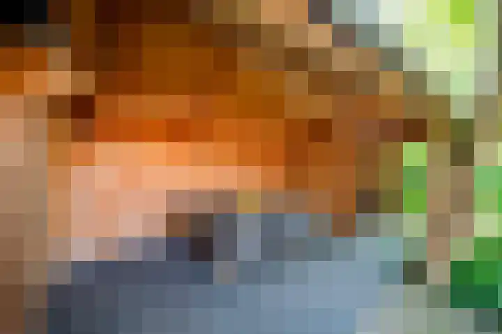 Binnenveldweg 7 Uddel thumbnail 41
