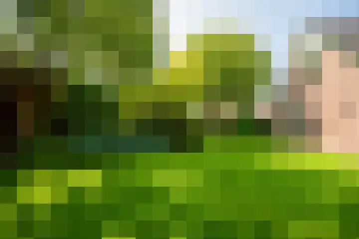 Binnenveldweg 7 Uddel thumbnail 42