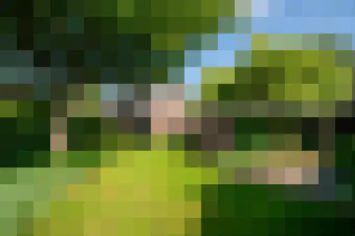 Binnenveldweg 7 Uddel thumbnail 43