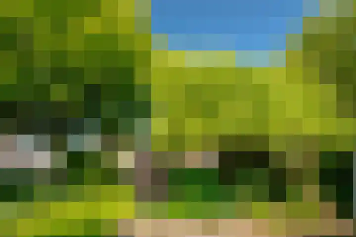 Binnenveldweg 7 Uddel thumbnail 44