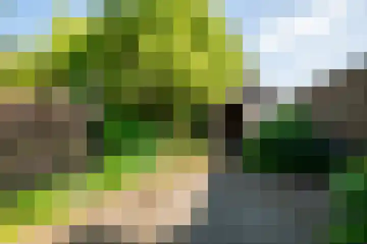 Binnenveldweg 7 Uddel thumbnail 45