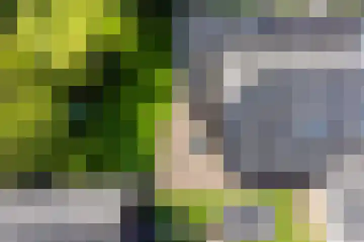 Binnenveldweg 7 Uddel thumbnail 46