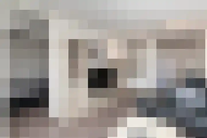 Binnenwater 73 Zoetermeer thumbnail 6
