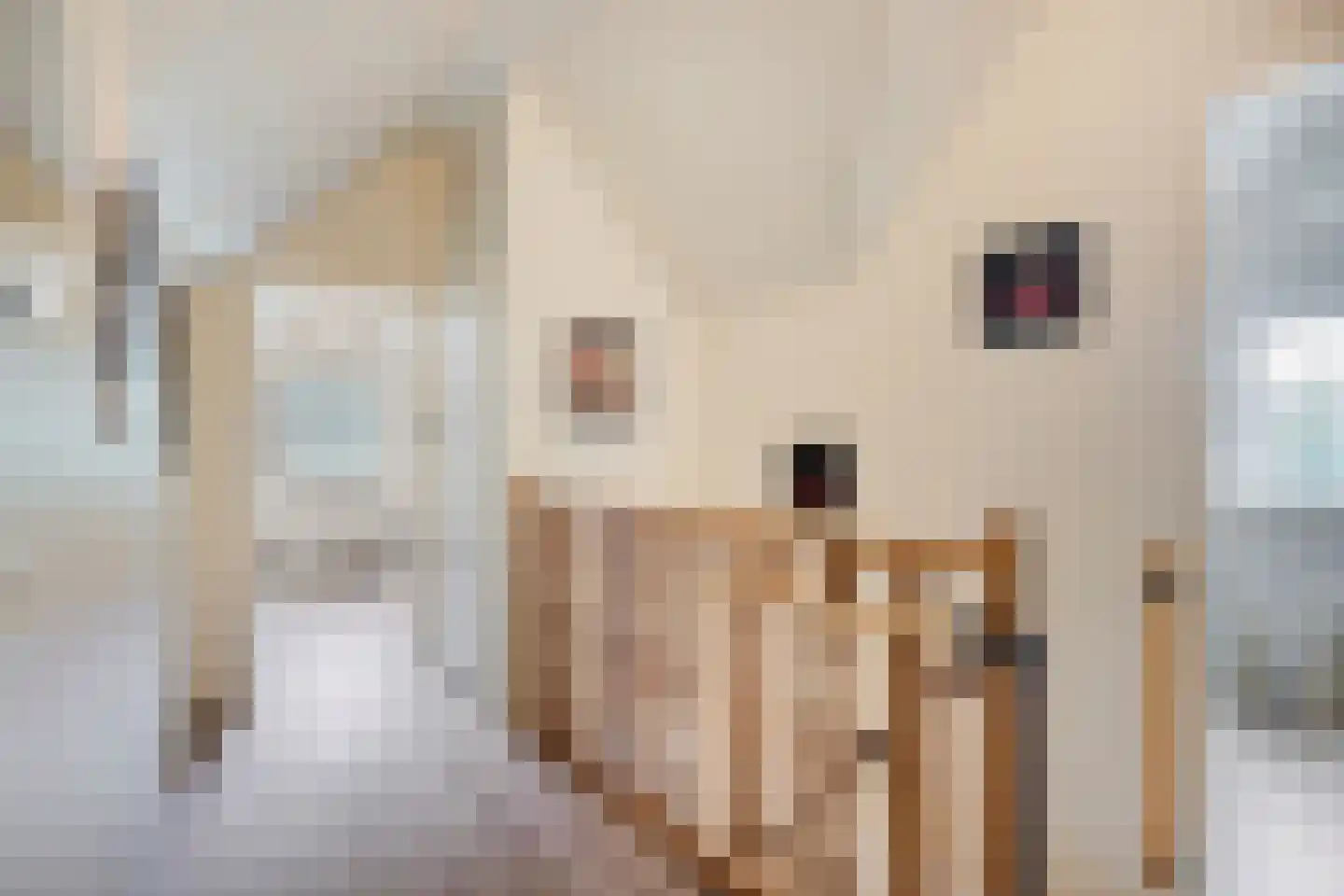 Binnenweg 12 68 Paasloo thumbnail 13