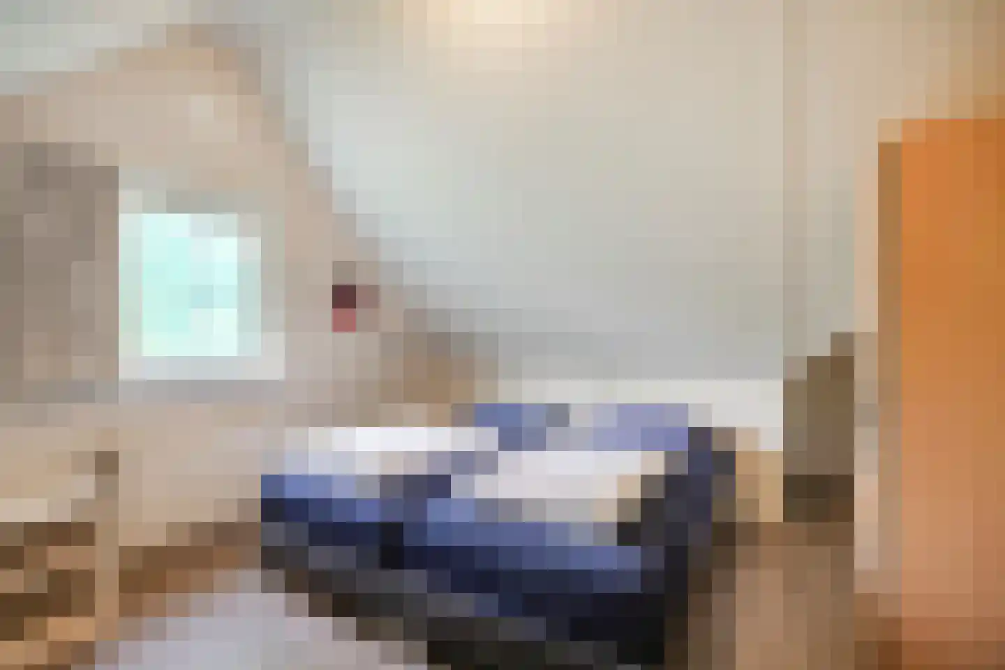 Binnenweg 12 68 Paasloo thumbnail 15