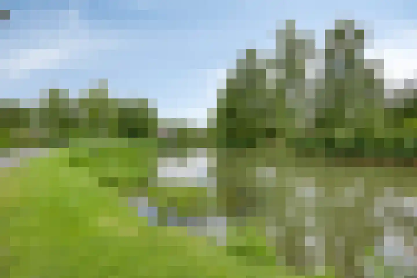 Binnenweg 12 68 Paasloo thumbnail 31