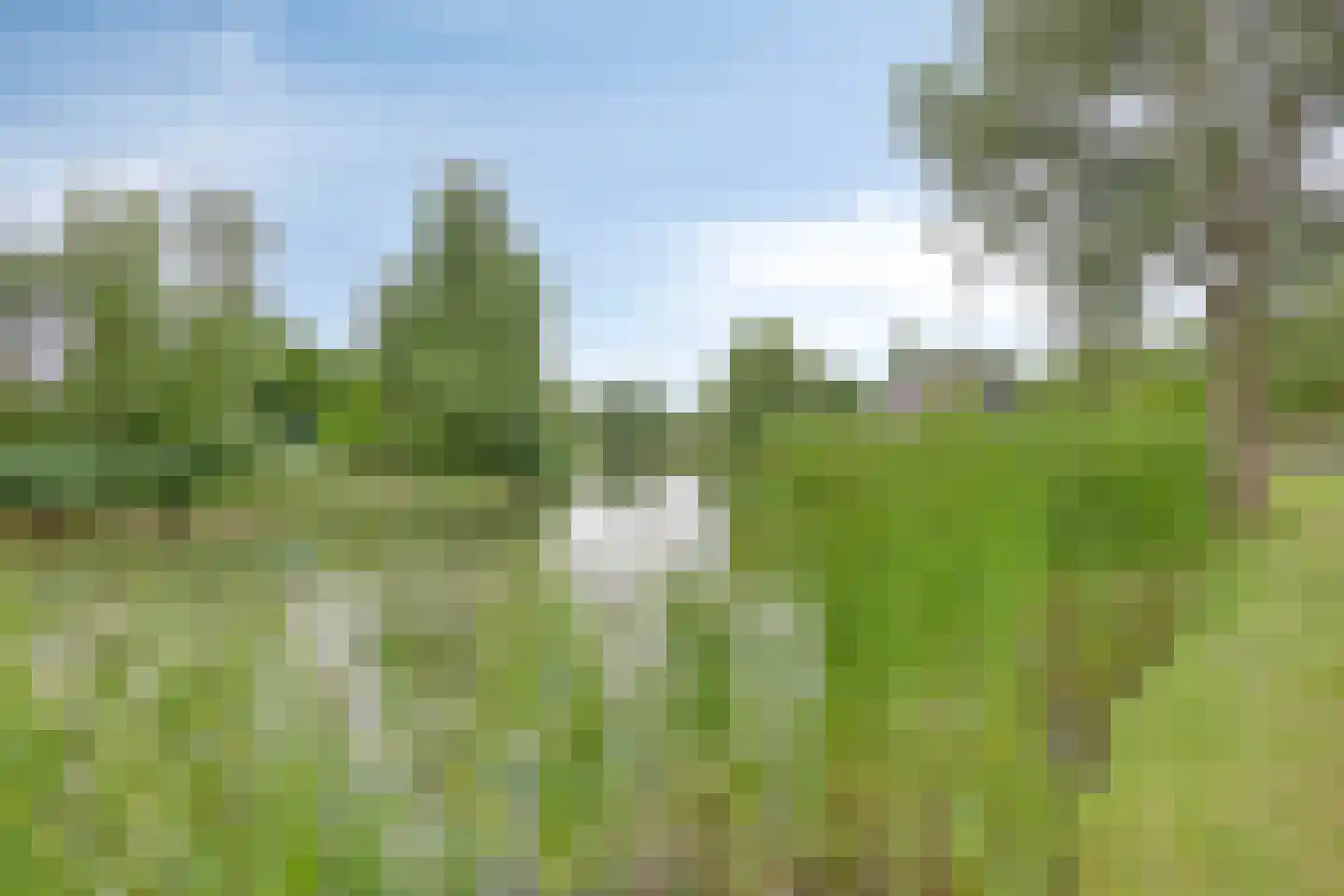 Binnenweg 12 68 Paasloo thumbnail 32