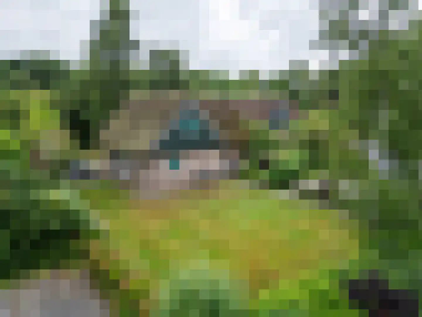 Binnenweg 12 68 Paasloo thumbnail 33