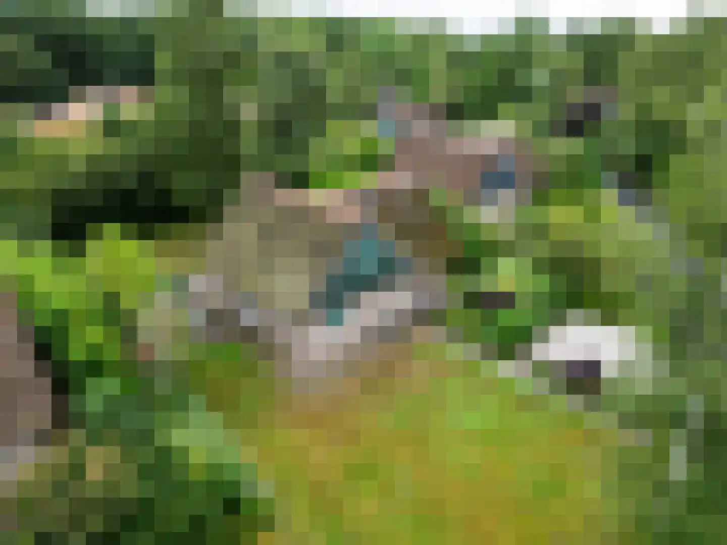 Binnenweg 12 68 Paasloo thumbnail 37