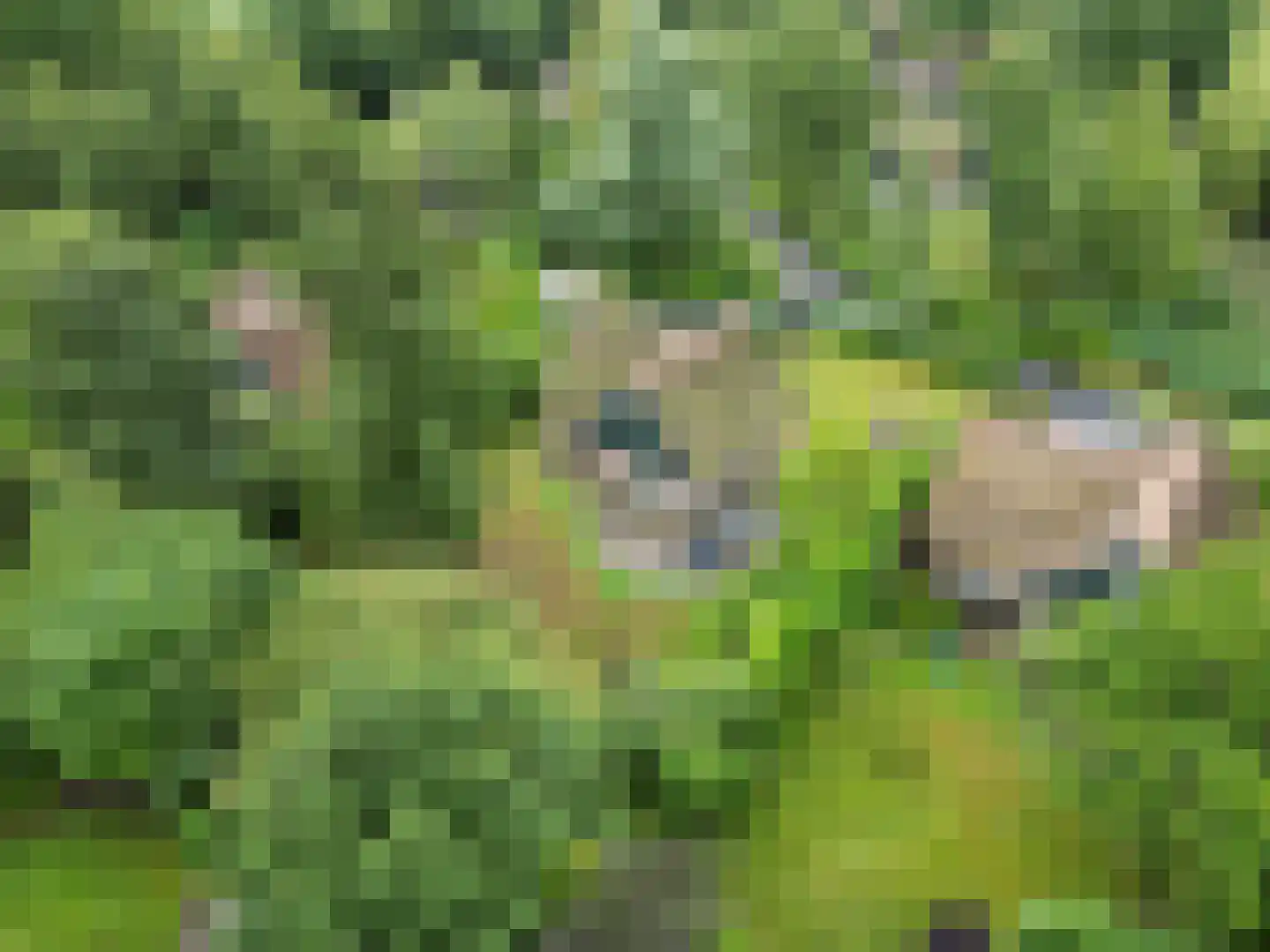Binnenweg 12 68 Paasloo thumbnail 39