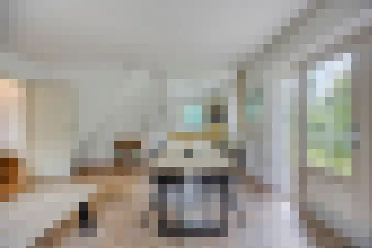 Binnenweg 12 68 Paasloo thumbnail 4