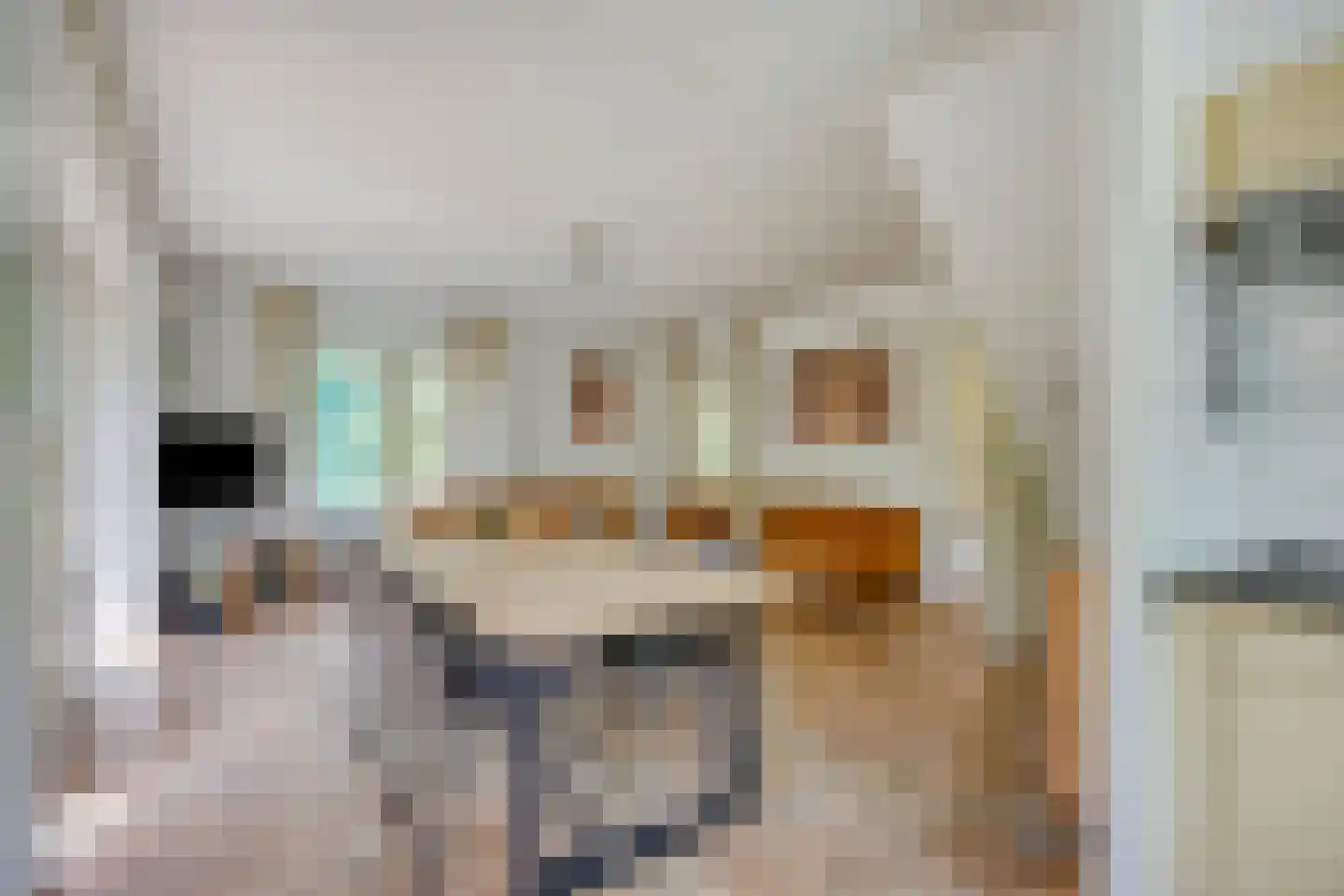 Binnenweg 12 68 Paasloo thumbnail 6