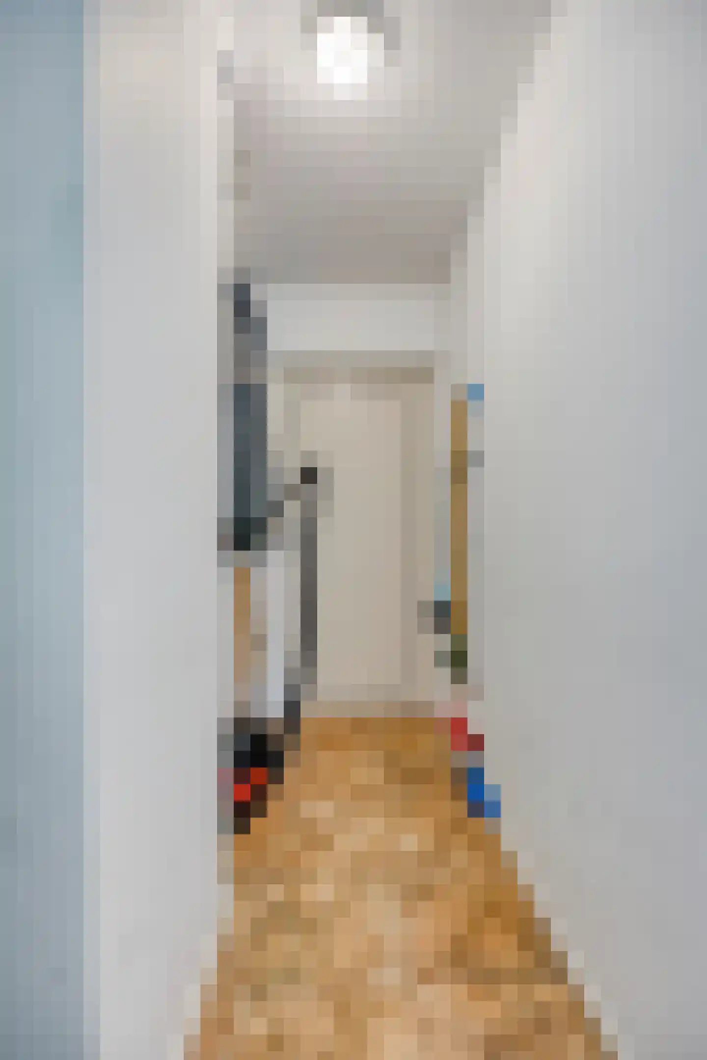 Binnenweg 12 68 Paasloo thumbnail 7