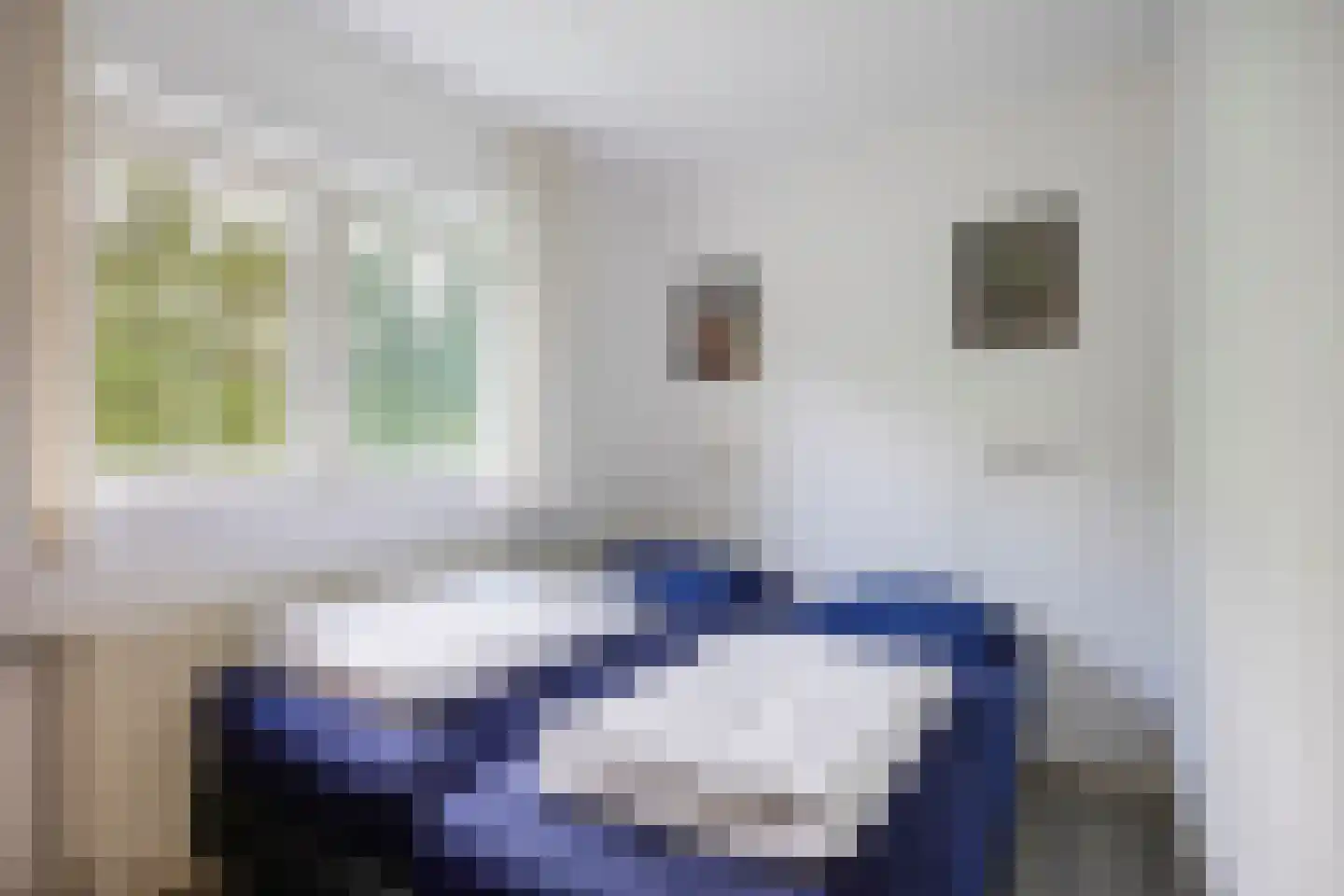 Binnenweg 12 68 Paasloo thumbnail 9