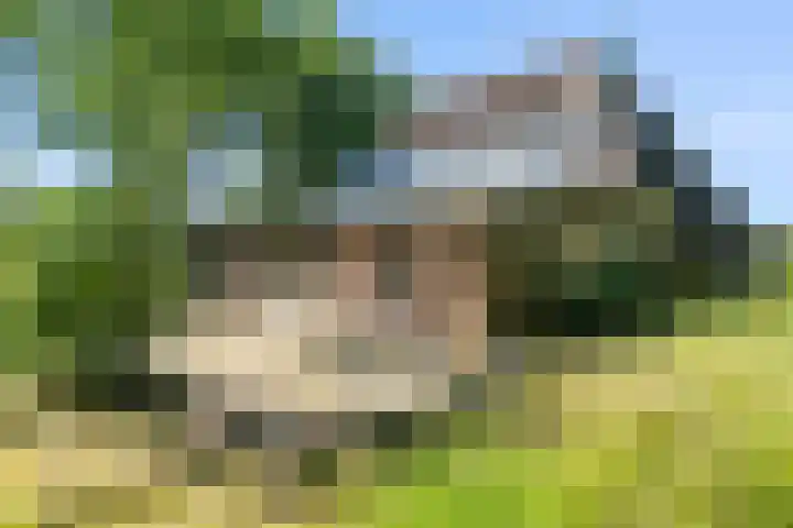 Binnenweg 37 Paasloo thumbnail 12